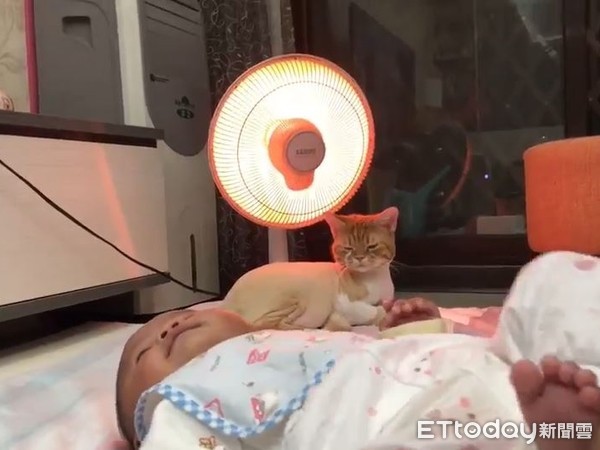 婴儿叫声凄厉,婴儿发出猫叫被丢