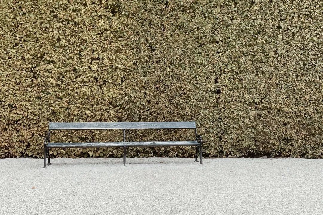 维也纳的十大特点,维也纳十首最好的诗