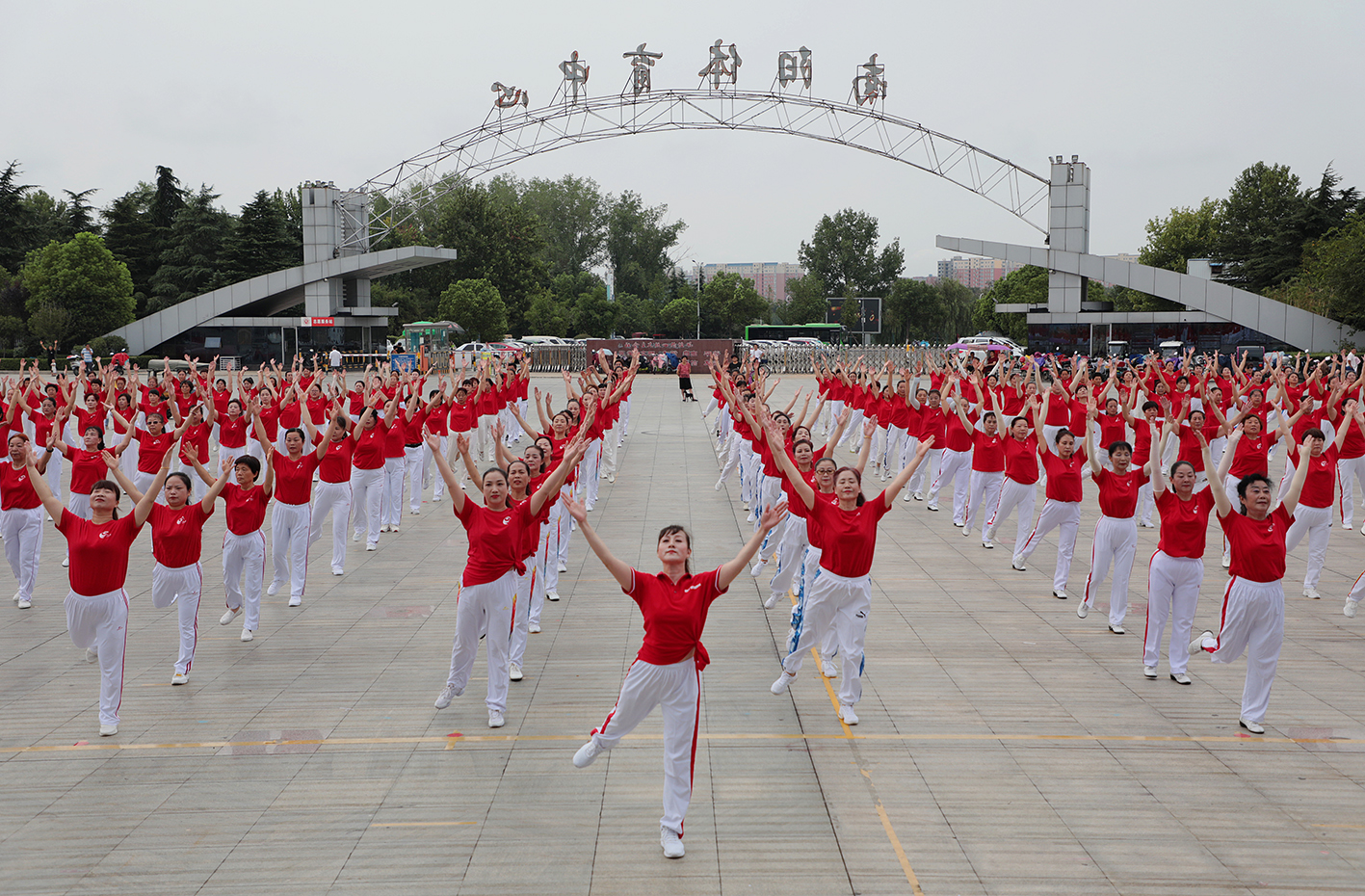 南阳关键词排名效果,南阳体育发展
