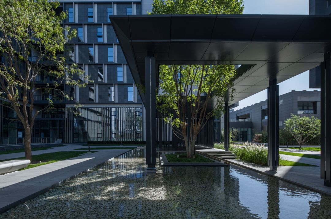 致广大尽精微方可成事,致广大而尽精微的视频