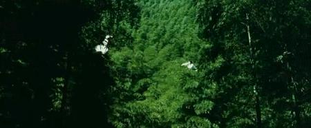 20年20部电影精选,20年推荐十部电影