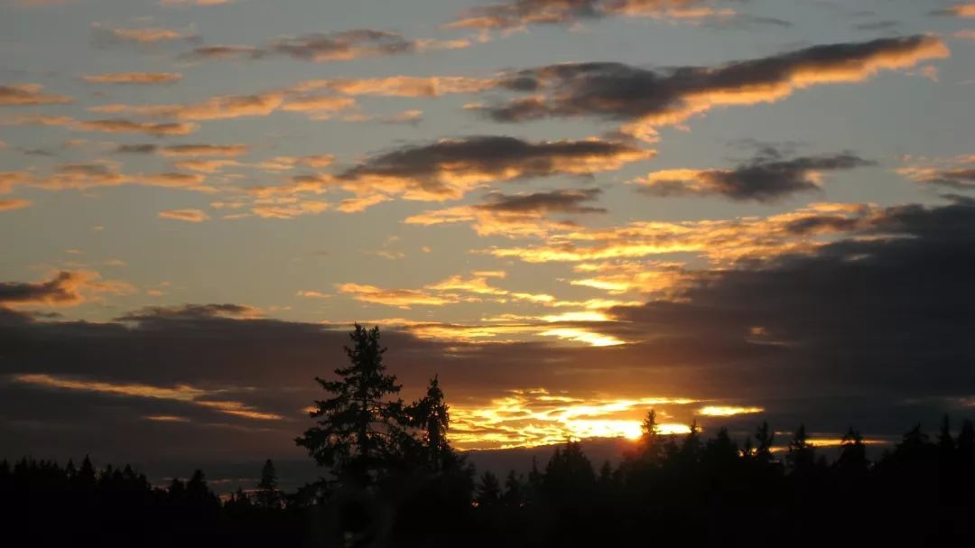 音乐相伴·勿忘心安丨在这特殊的日子里，美好的旋律与您相伴