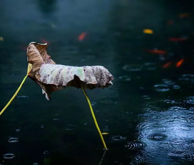 教科书式自我隔离,自我隔离要多少天