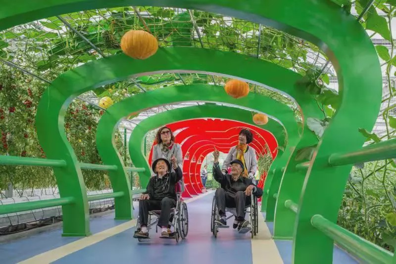 临沂市兰陵国家农业公园旅游区,临沂兰陵国家农业公园