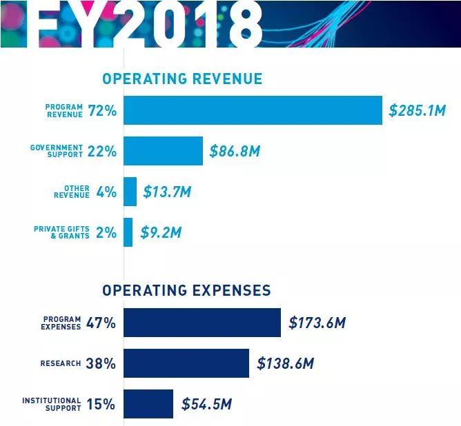这个鼠年太难过了！再难，也不能没有鼠