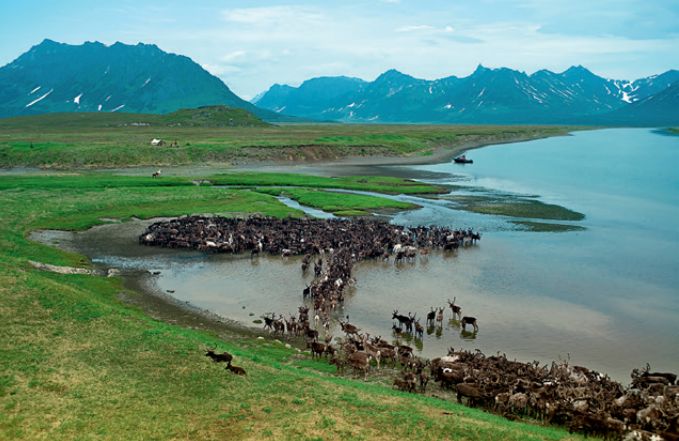 北极和南极相比哪个冷,北极和南极相比有什么特点