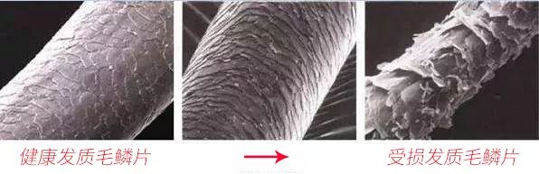 懒人必备|日本纳米级干发帽，玻尿酸加持，让头发柔顺如丝无静电