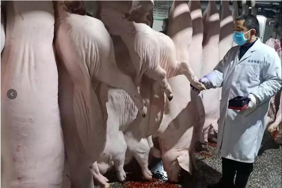 雨城抗“疫”：无论白昼黑夜，雨城一直在战斗