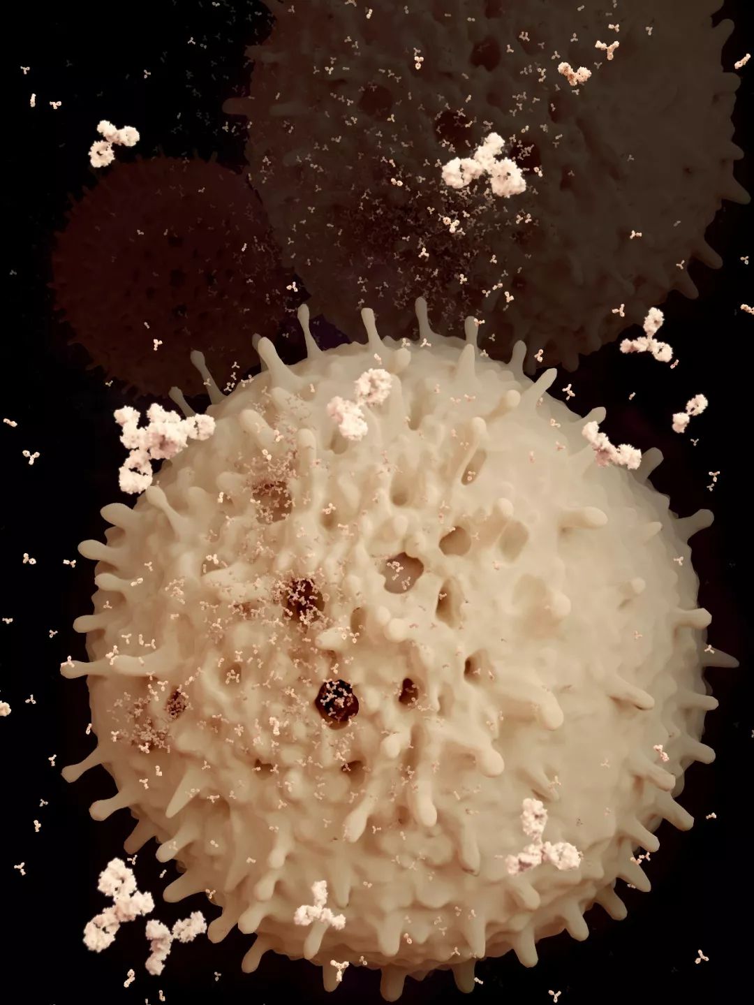 鍋囧鐥呮瘨鎰熸煋浜嗘垜,鍋囧鐥呮瘨鎰熸煋浜嗕綘