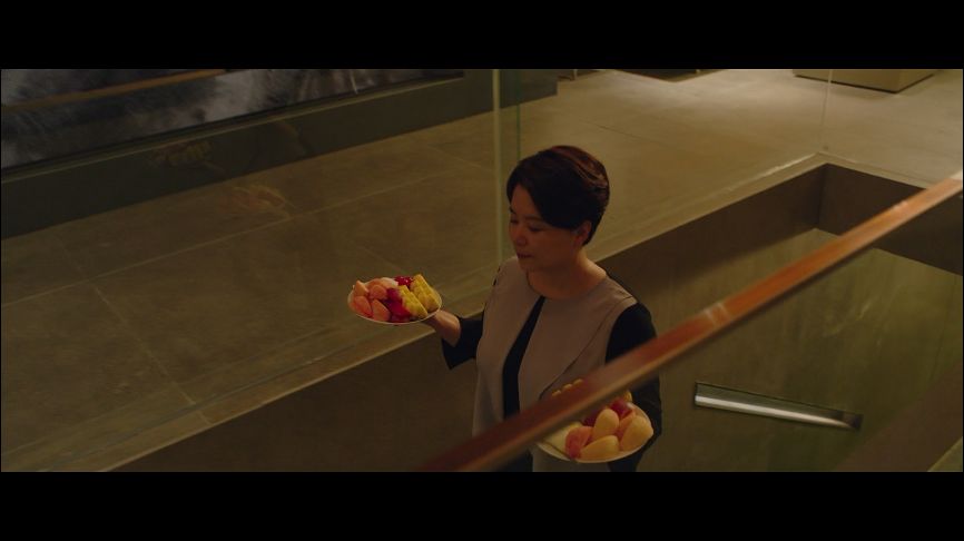 引进可以，跪求少删减…