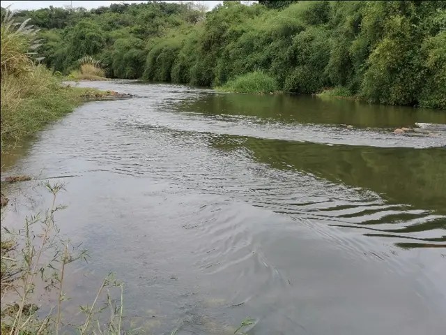 路亚一步到位还是循序渐进好,摸索反思