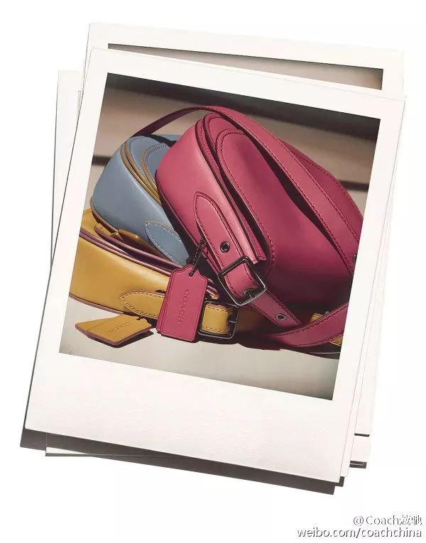 T型台|说到买包，谁还没买过Coach呢？