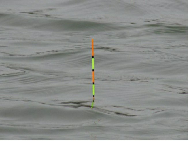 早春钓鲫鱼钓深水还是浅水,早春太阳大气温高怎么钓鲫鱼