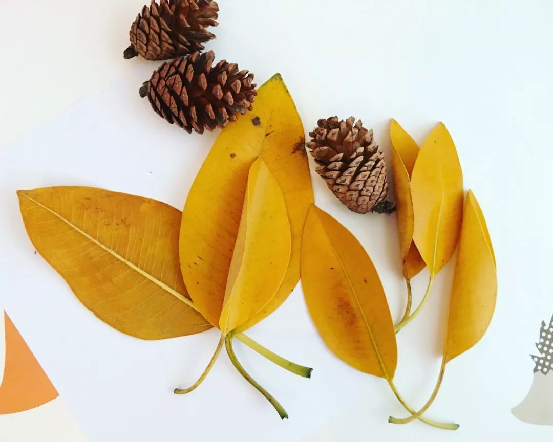 小朋友玩什么小游戏不花钱,童年的小游戏并且能赚钱