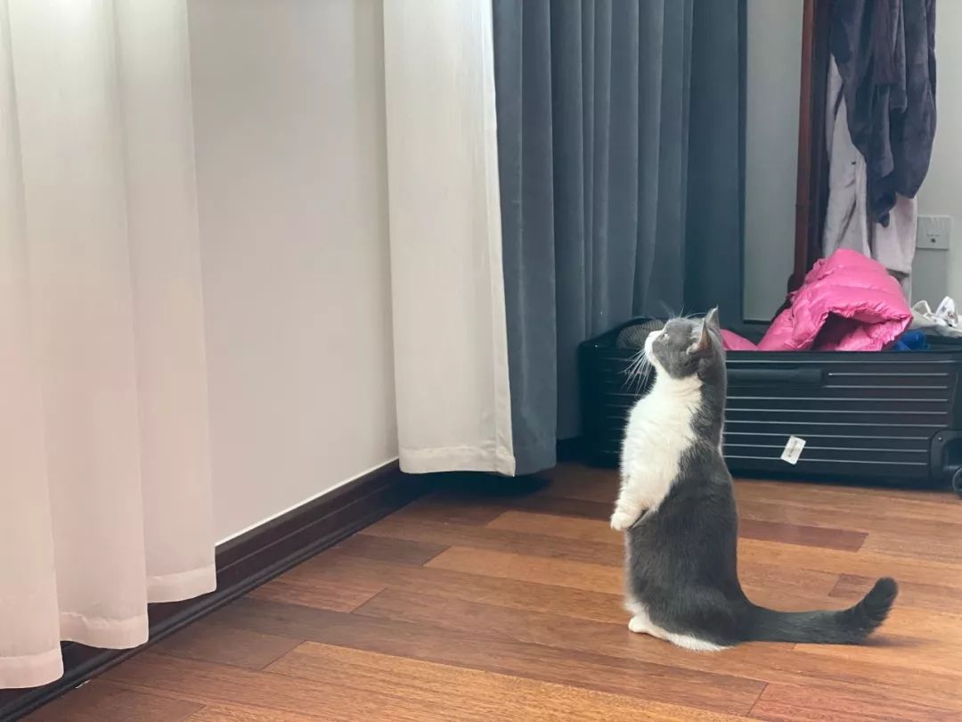 收到诈骗电话舍不得挂，看来他们也复工了，真好