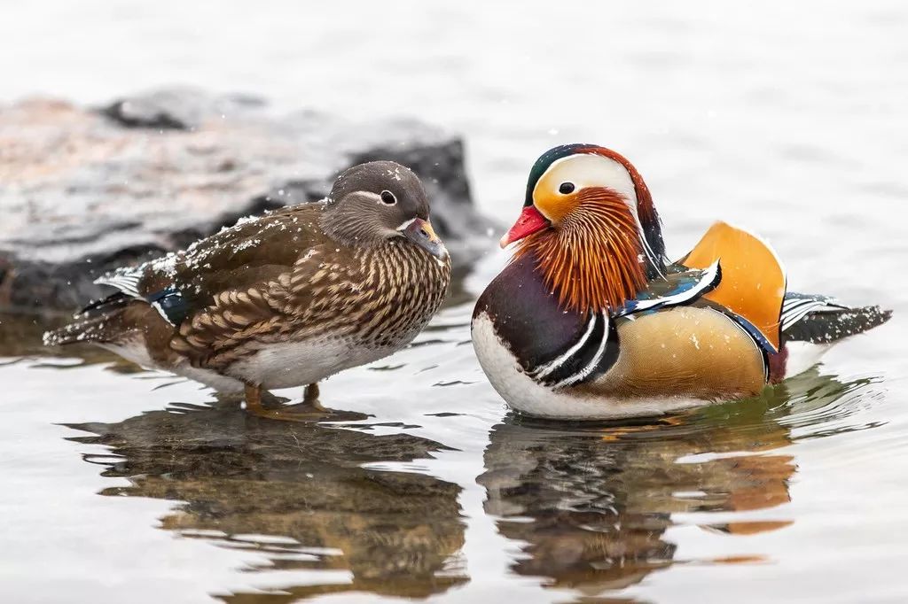 遇到诈骗电话是挂掉还是放任不管,接到诈骗电话就敲锅
