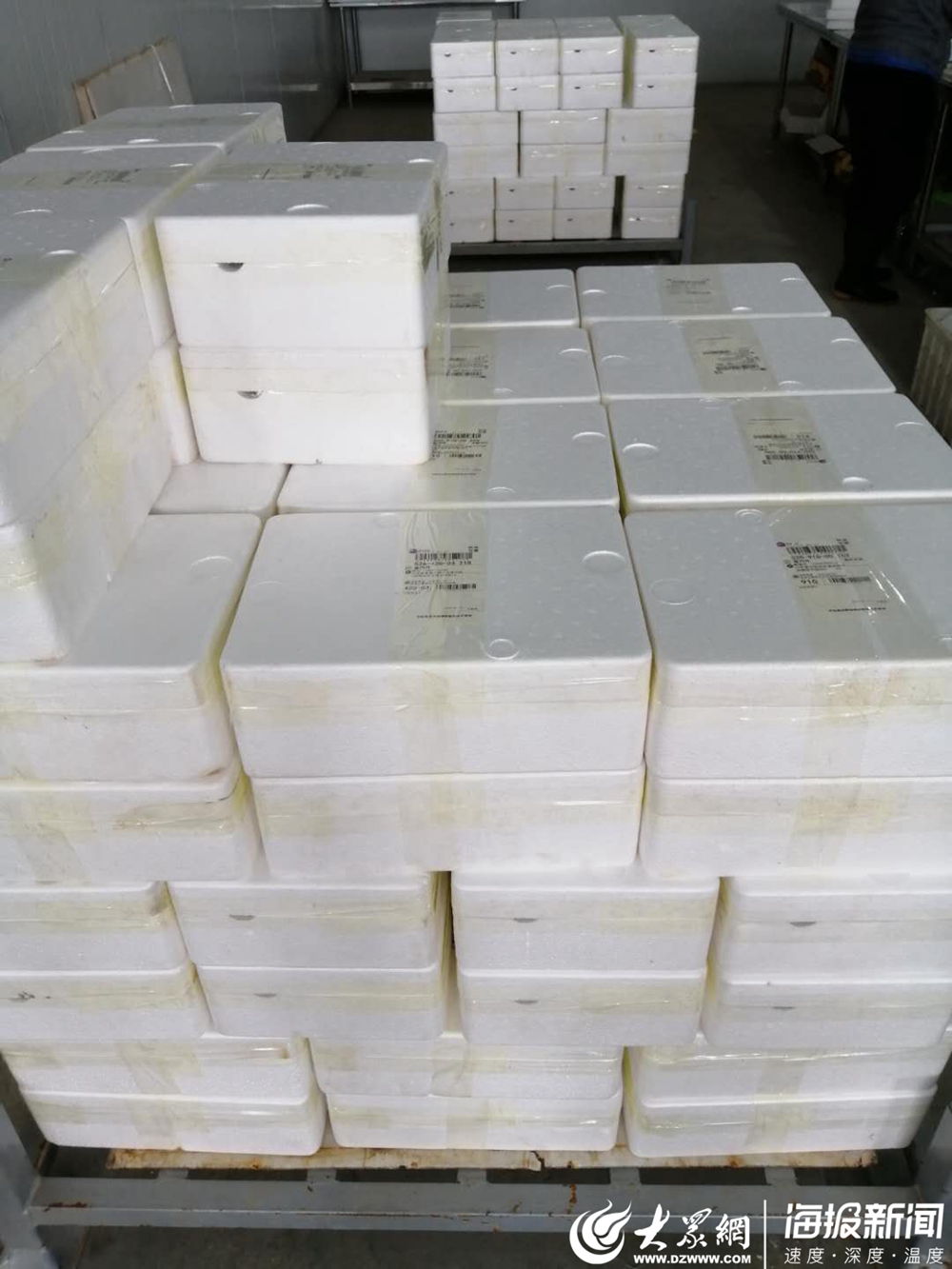 梨滞销的新闻稿件,滞销的梨