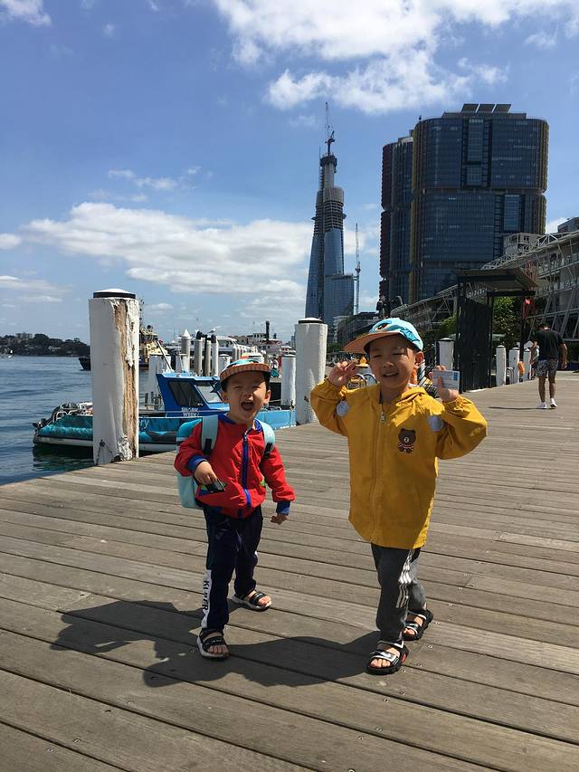 澳大利亚大洋路两日游,自由行墨尔本及悉尼