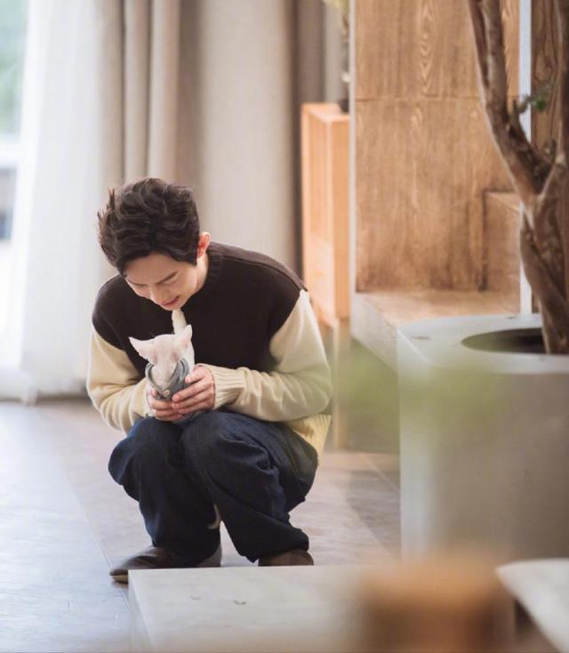 五分钟懒人蛋糕做法何炅,何炅双皮奶教程煮多长时间