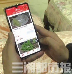 团购选品广场爆款产品热销榜单,社区团购爆品排行