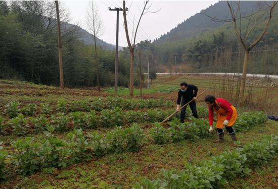 帮助农民卖了30万斤红枣,助农民销万斤蔬菜