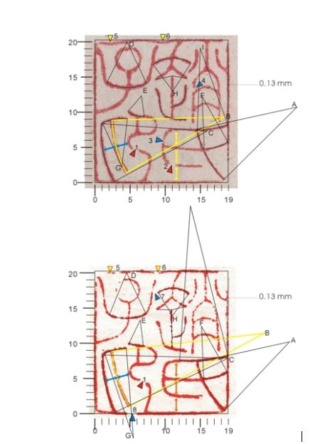 赵华：辨伪，怎能如此简单粗暴？读肖燕翼《古书画名家名作辨伪三十例》