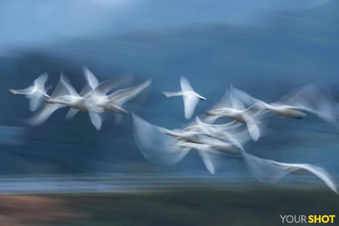 记住它们现在的模样,记住这些永不过期的食品