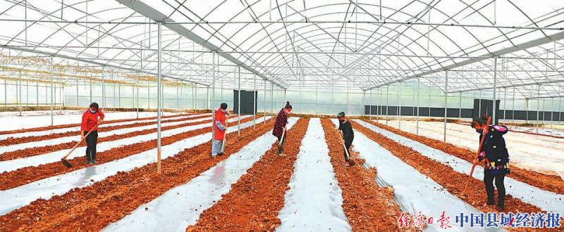 四川省岳池县工业园区复工情况,四川西充产业新城项目复工