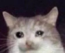 2018年王一博粉红色眼影,王一博雾蓝发同款