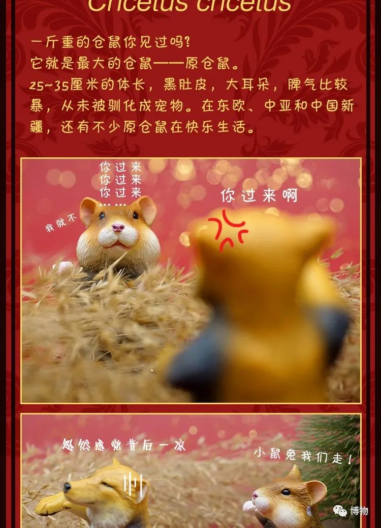 祝朋友发财的祝福,说两句祝我发财的话