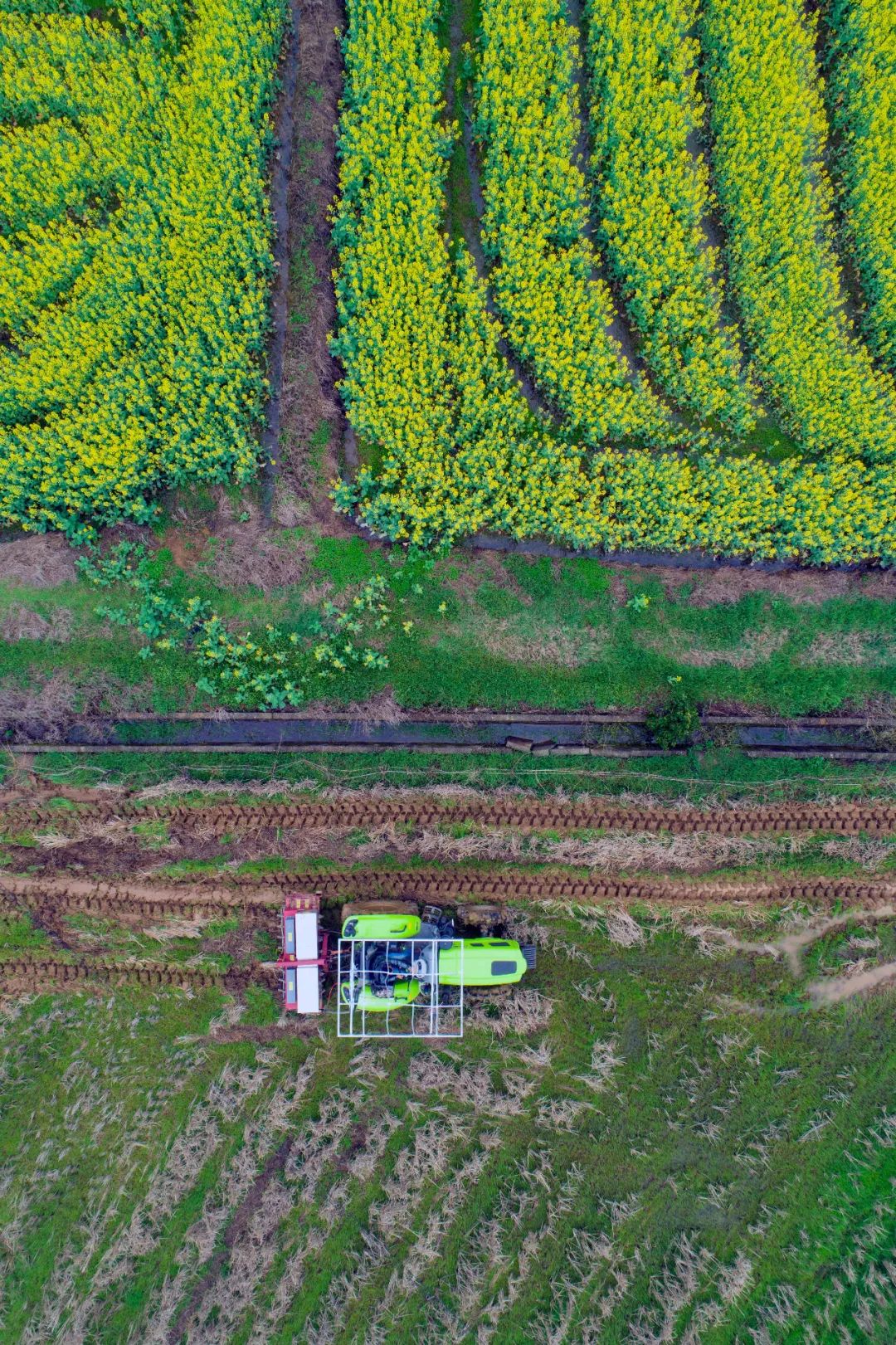 听春之声,听春之声圆舞曲感悟