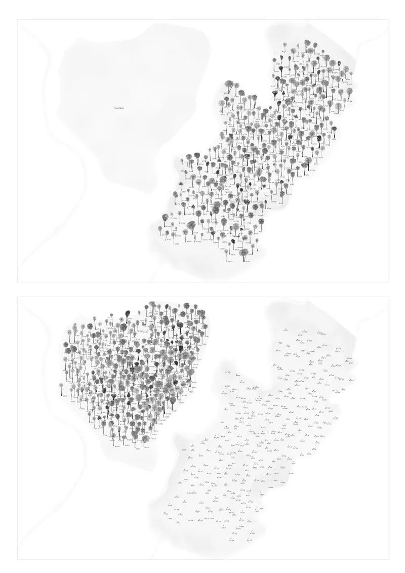 一起来植树的视频,今天适合植树吗