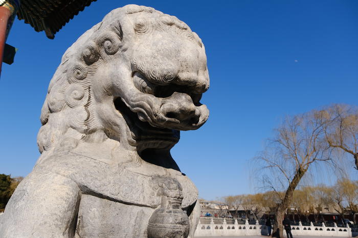 富士x-t4视频表现,富士x-t42020款