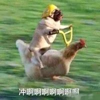 成都的夜，回归了！整个8月，大牌集体跨界酒吧推联名好酒好食，特惠来了→