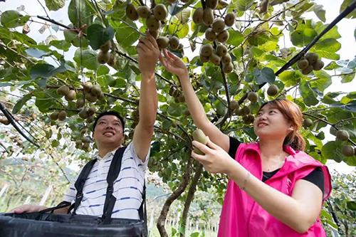 又是一年春来早家乡景色,又是一年春来早万物逢春在今朝