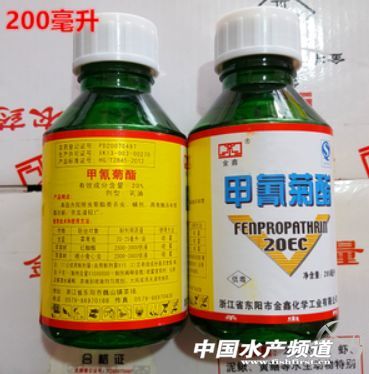 娃娃鱼是国家保护动物为啥还能吃,娃娃鱼濒临灭绝为什么还能吃