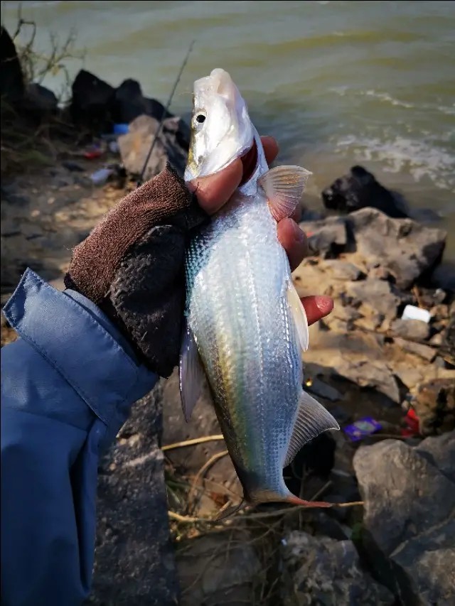 路亚一步到位还是循序渐进好,摸索反思