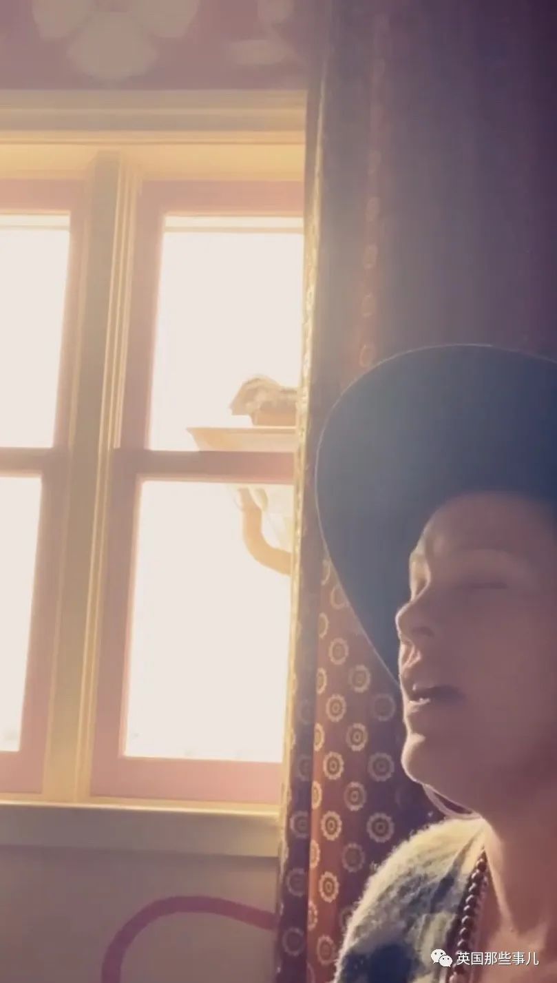 疫情期间被隔离的网红,隔离期间的明星