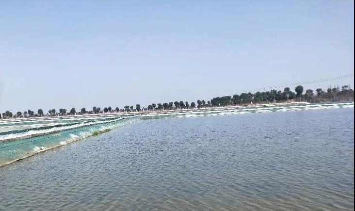 河蟹怎么养才正确家里,河蟹怎么养才能增强营养