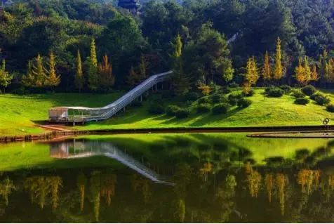 成都田园风光旅游攻略,成都旅游攻略清吧