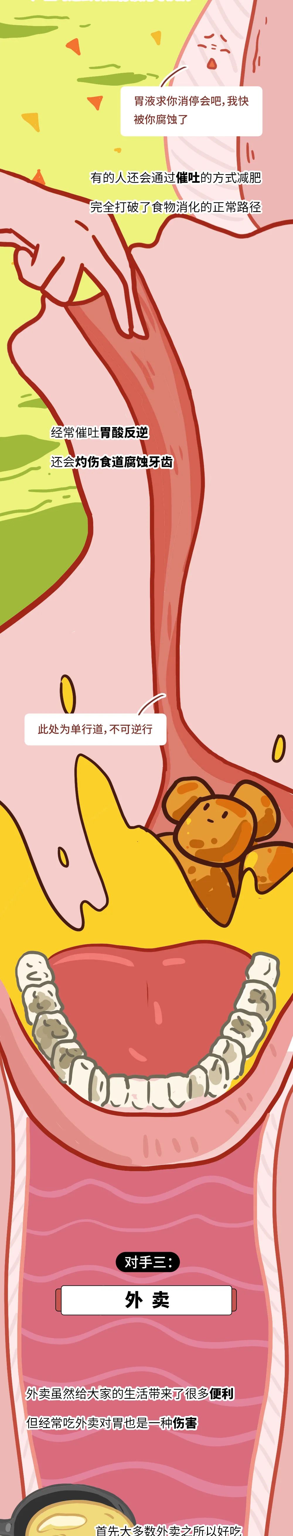 护胃科普漫画,胃的动画科普