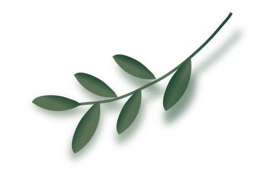 南昌预计什么时候全面开放,南昌市什么时候恢复正常开放