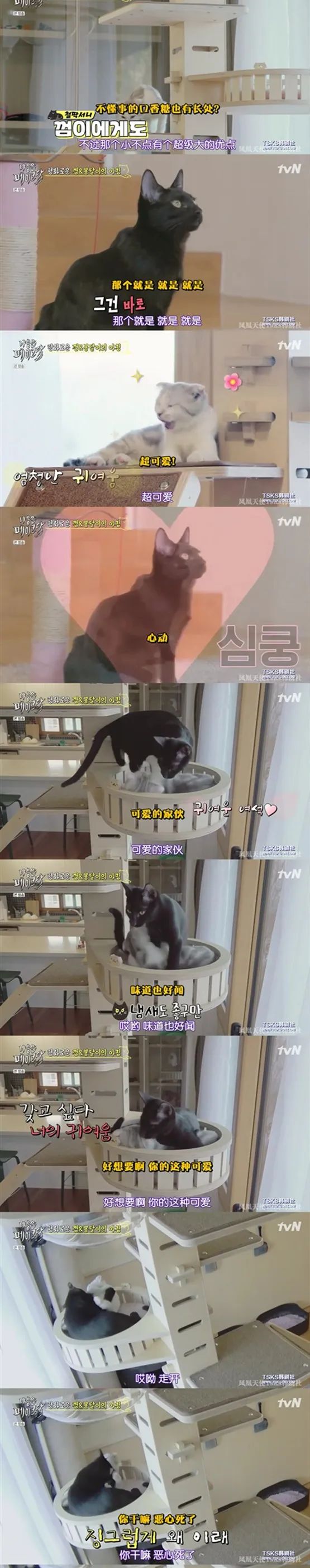 你喜欢的是他的容颜还是灵魂,你是爱她的皮囊还是灵魂