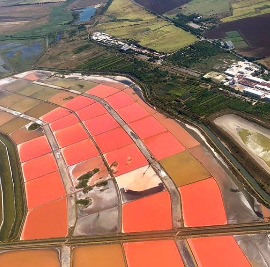 沾走“秽气”！各国花样泥浴泡出心中喜