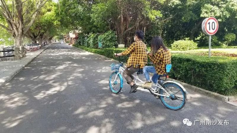 南沙生态田园风光,南沙湿地环境