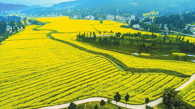 南充项目突围不胜不休