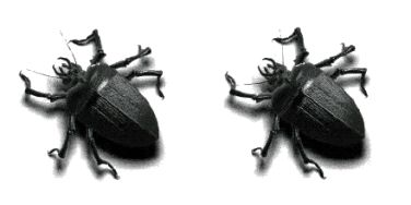 愚人节最新防忽悠指南,愚人节防套路指南搞笑