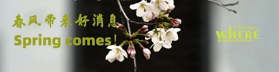 【双语】Zhengzhourecoversitsvigor“序”力郑州