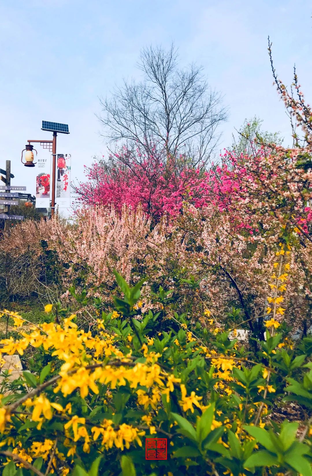 南京江宁网红打卡点有哪些,春日限定江宁新晋网红打卡点出炉