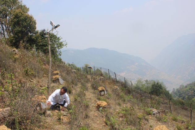 “三剑客”的小康梦——“土蜂王”杨荣富父子的创业人生